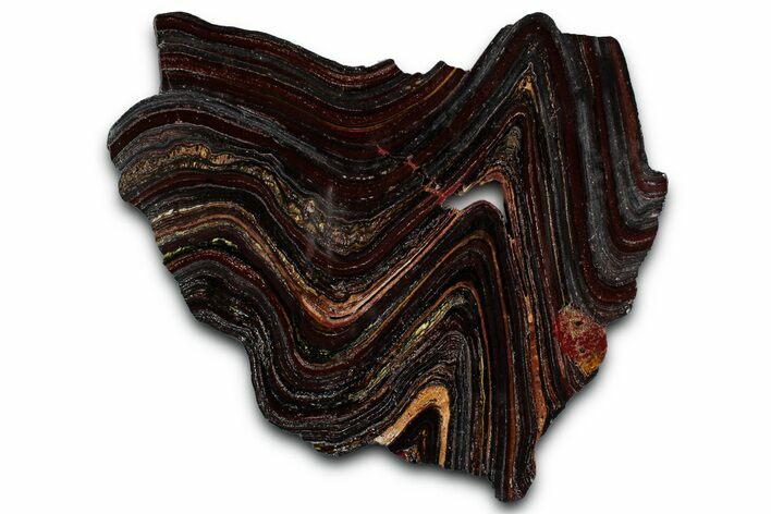 Polished Tiger Iron Stromatolite Slab - Billion Years #351798